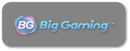 Big Gaming